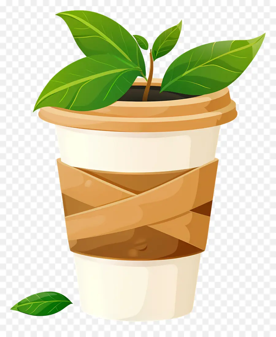 Tasse écologique，Plante Dans Une Tasse à Café PNG