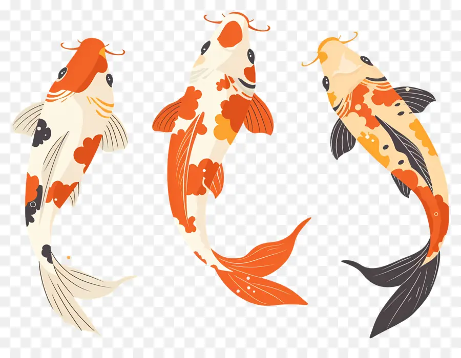 Poisson Koï，Trois Poissons Koi Détaillés PNG