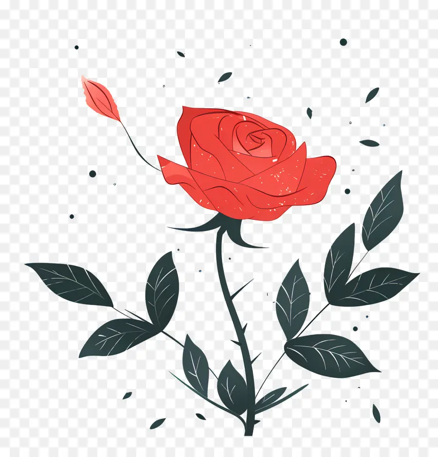 Rose Rouge，Rose PNG