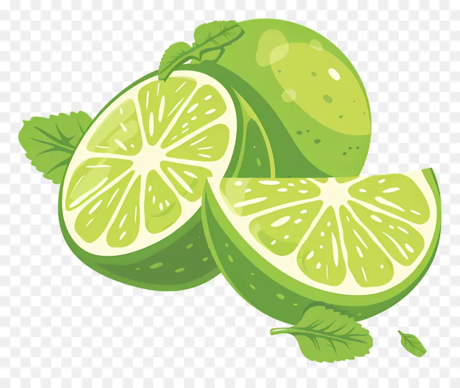 Citron Vert，Agrumes PNG