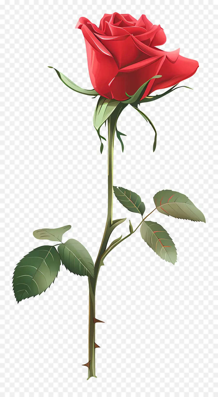 Rose Rouge，Tige PNG