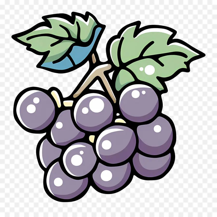 Raisins，Vigne PNG