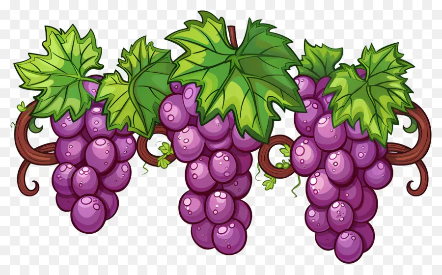 Raisins，Raisins Violets PNG