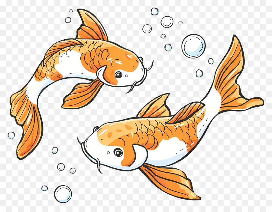 Poisson Koï，Deux Poissons Koi Avec De L'eau PNG