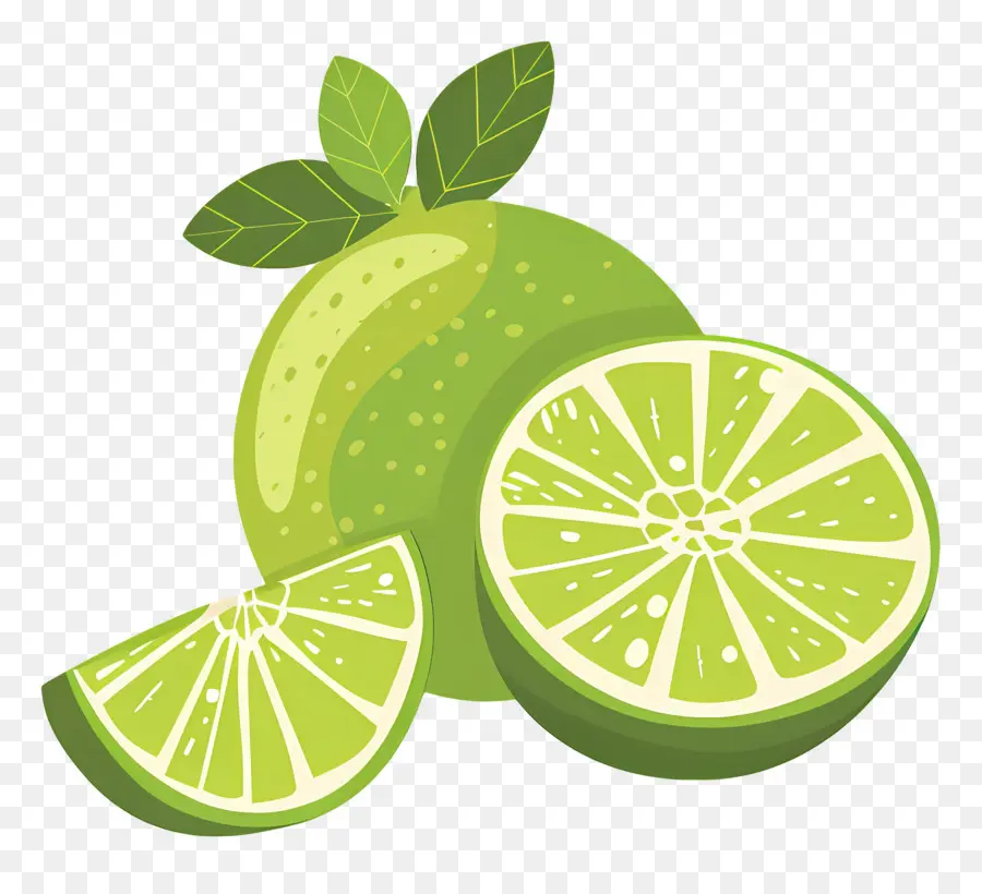 Citron Vert，Citron Vert Et Menthe PNG