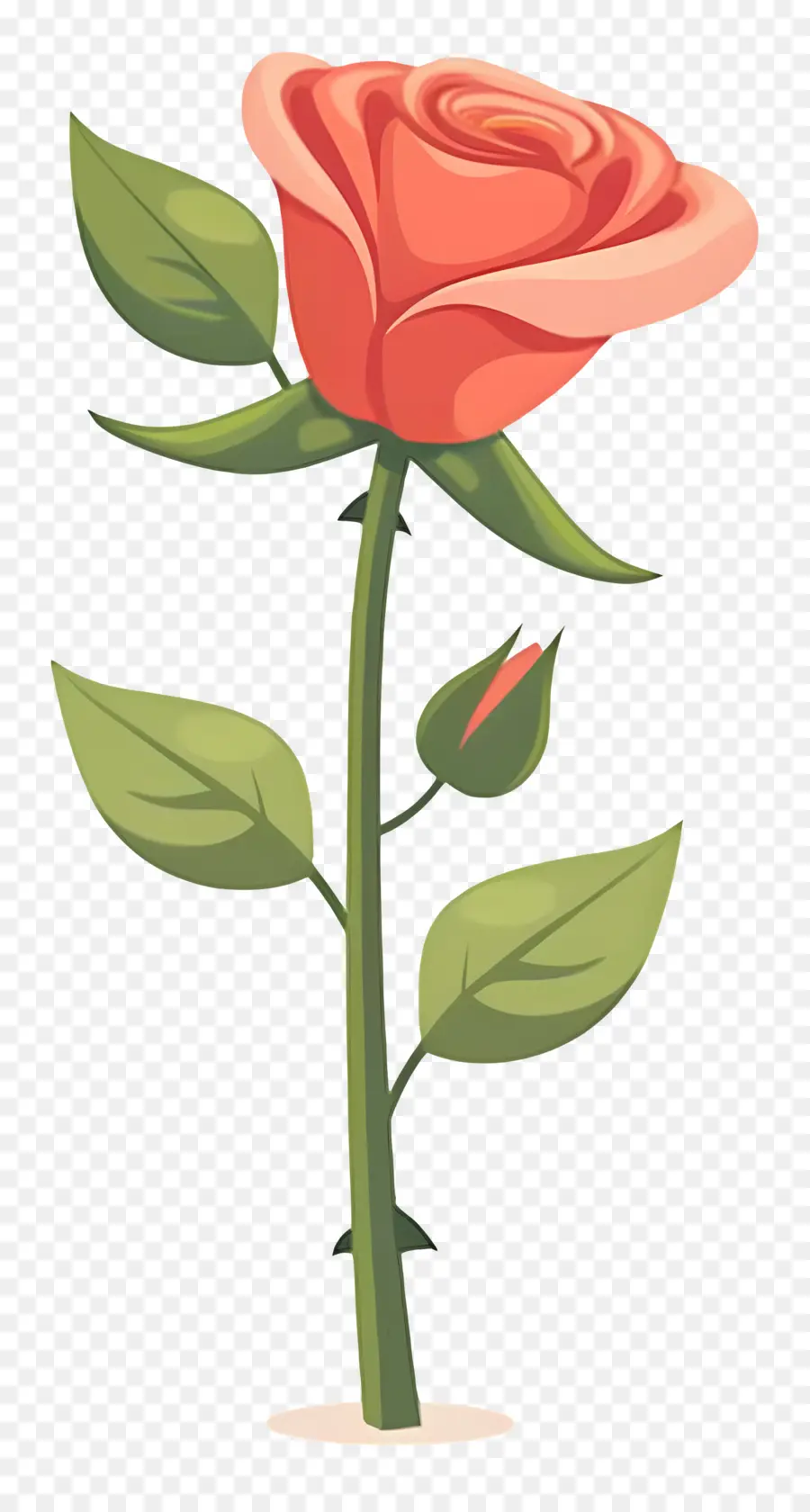 Rose Rouge，Tige PNG