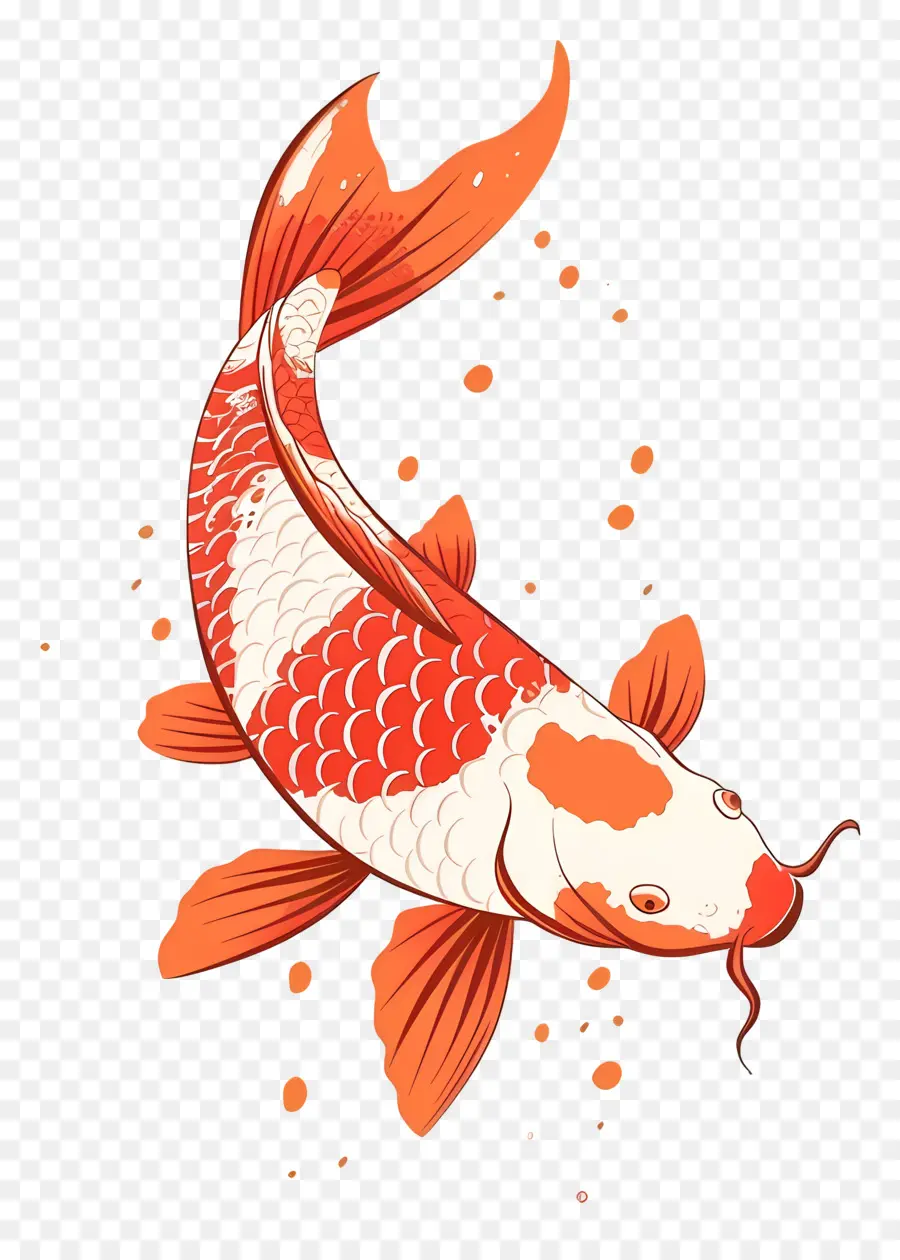 Poisson Koï，Deux Poissons Koi Avec De L'eau PNG