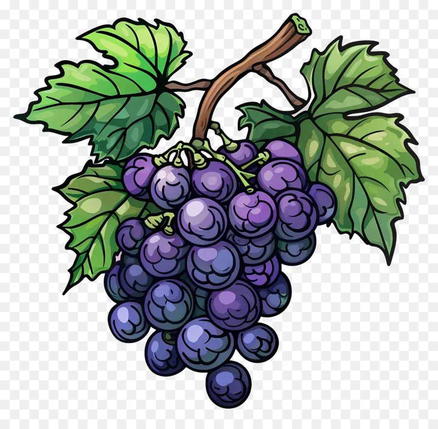 Raisins，Raisins Violets PNG