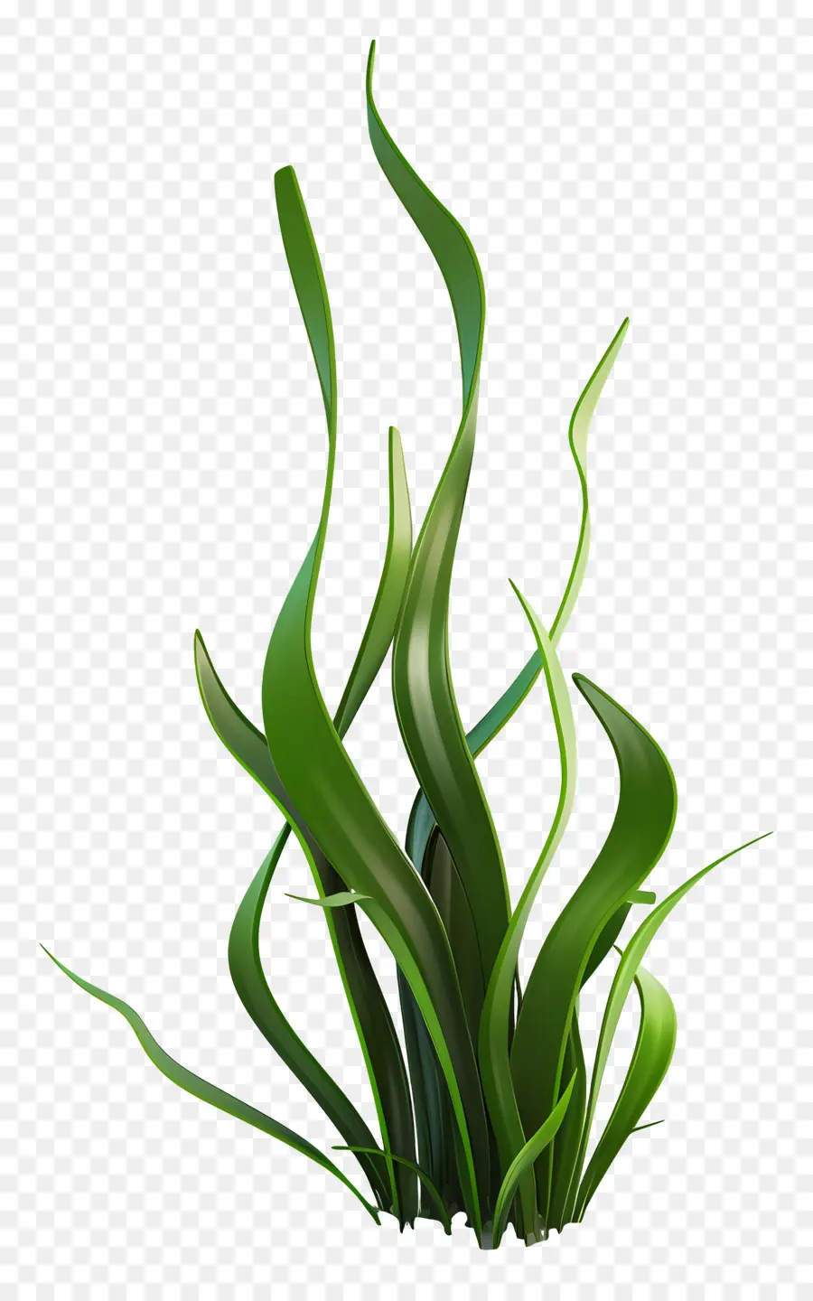 Plante D'herbe，Herbe Stylisée PNG