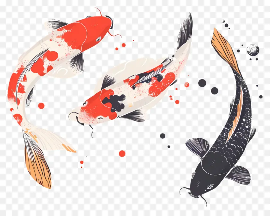 Poisson Koï，Poisson Koi Rouge Et Noir PNG