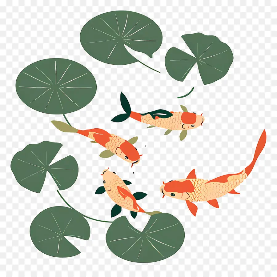 Poisson Koï，Quatre Poissons Koi Avec Des Lys PNG