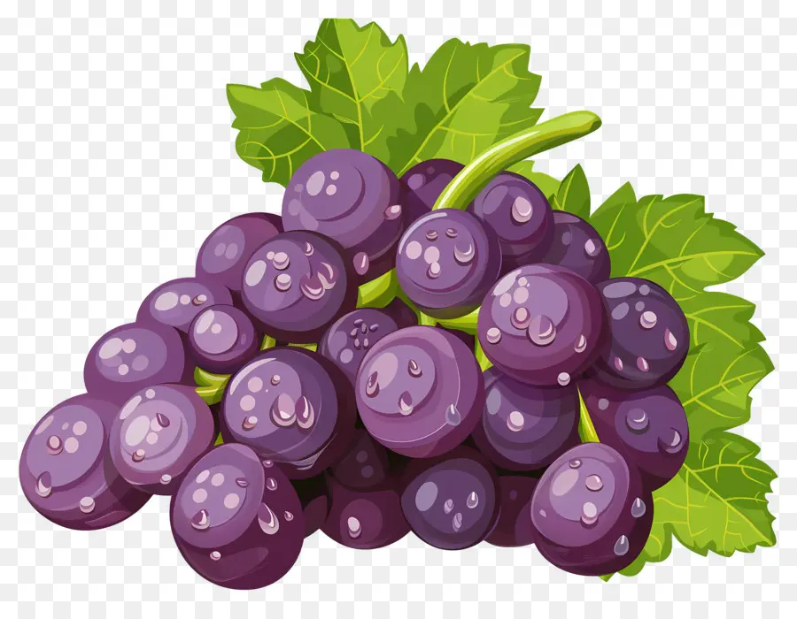 Raisins，Raisins Violets PNG