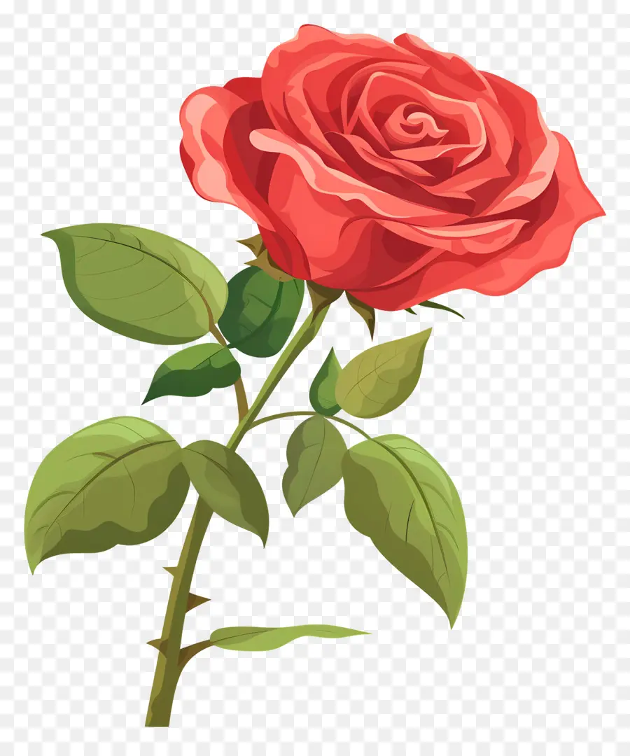 Rose Rouge，Romance PNG