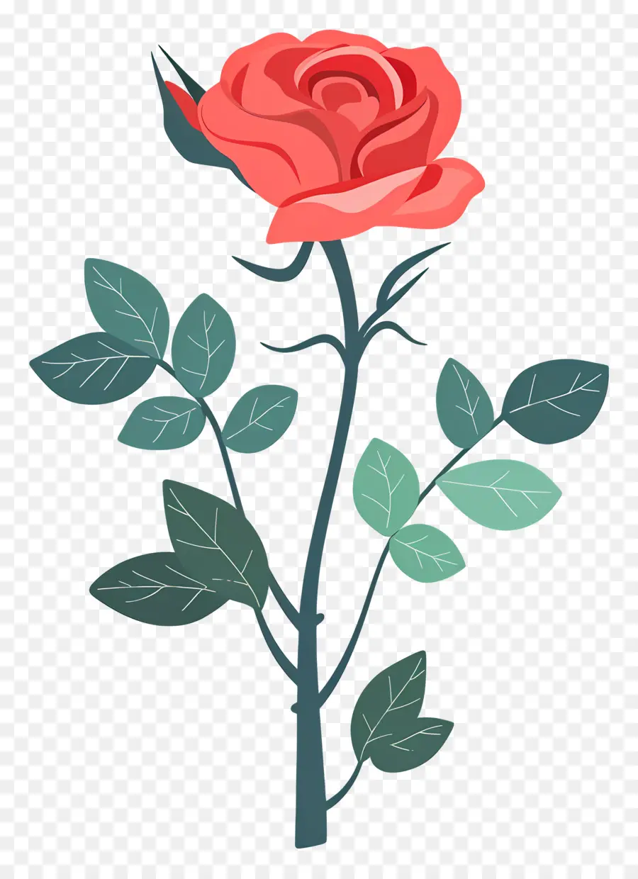 Rose Rouge，Romance PNG