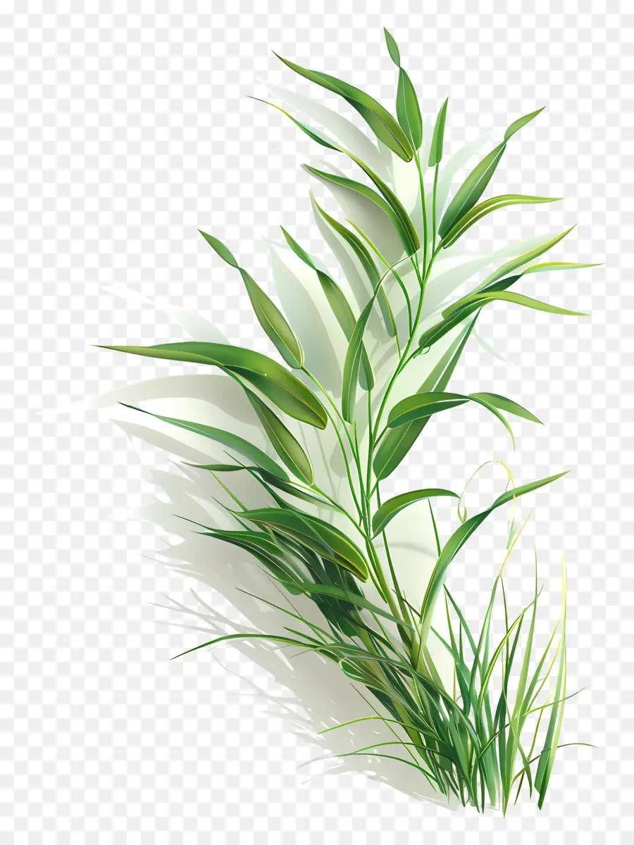 Plante D'herbe，Herbe Vert Vif PNG