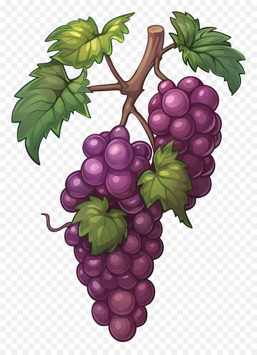 Raisins，Raisins Violets PNG