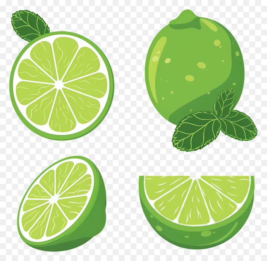 Citron Vert，Tranche De Citron Vert PNG