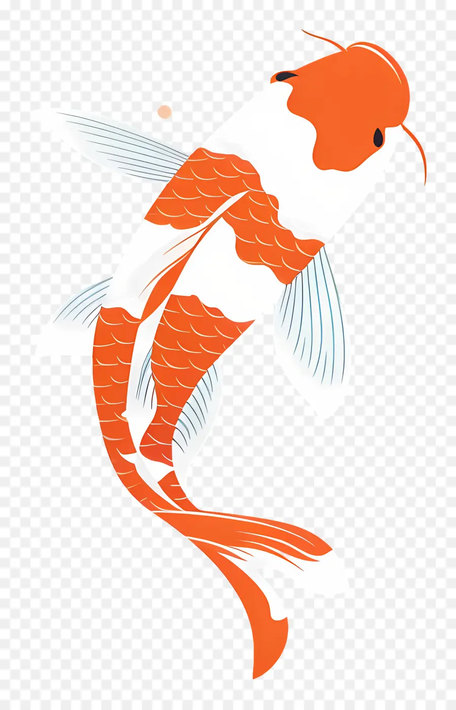 Poisson Koï，Poisson Koi Orange Et Blanc PNG