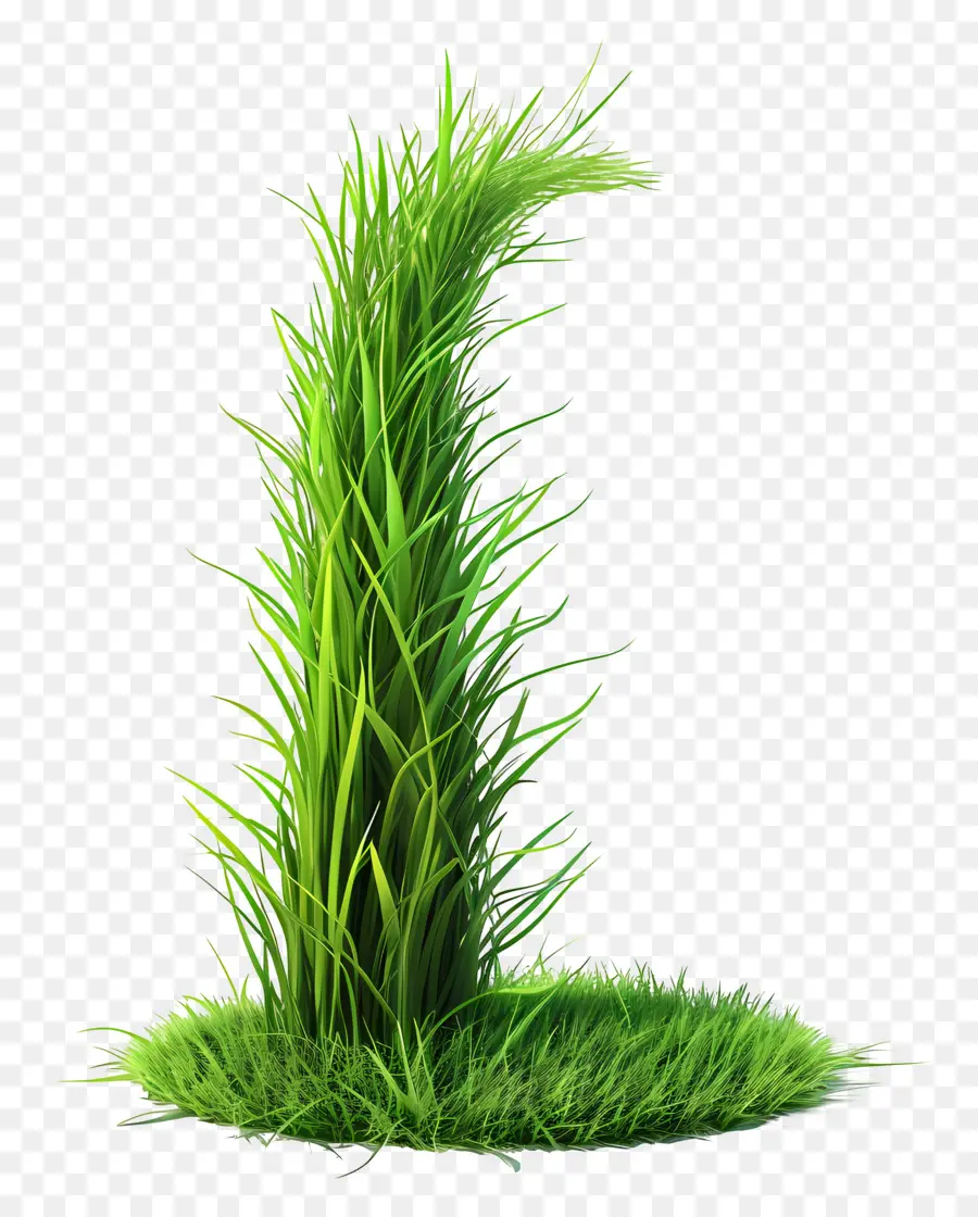 Plante D'herbe，Herbe Vert Vif PNG