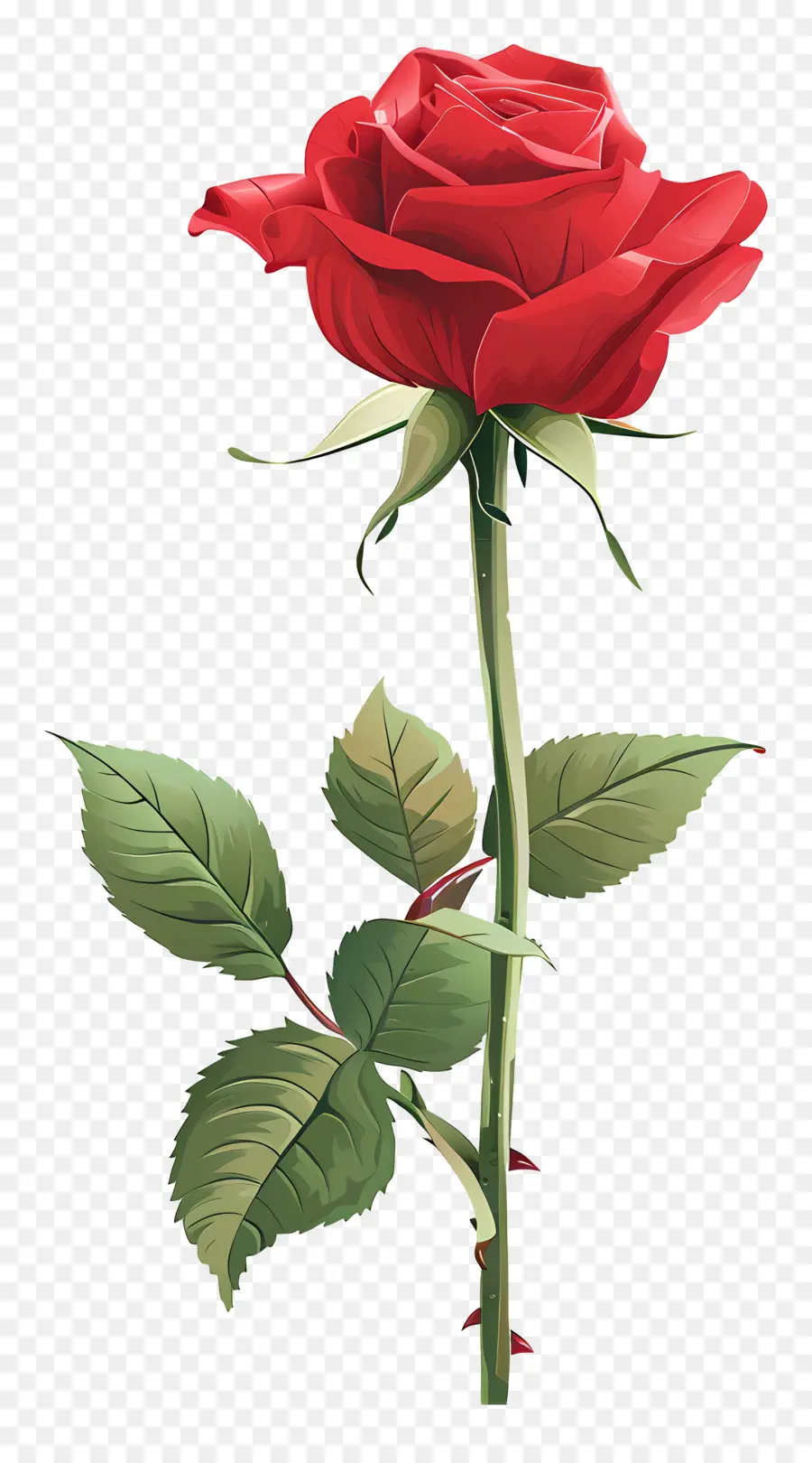 Rose Rouge，Tige PNG