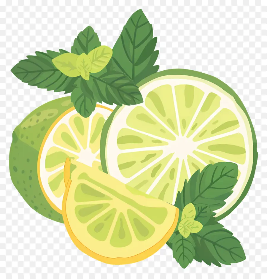 Citron Vert，Citron Vert Et Menthe PNG