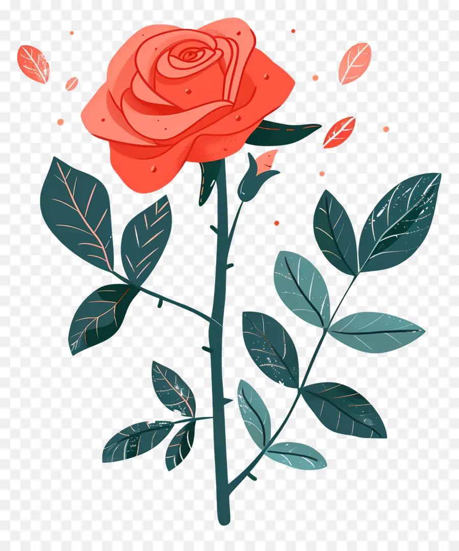 Rose Rouge，Romance PNG