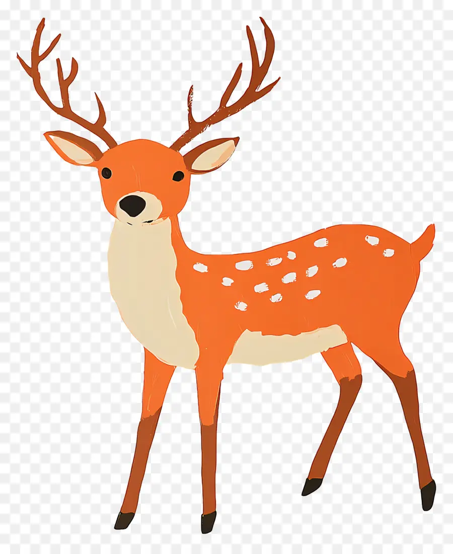 Cerf De Noël，Cerf De Dessin Animé PNG