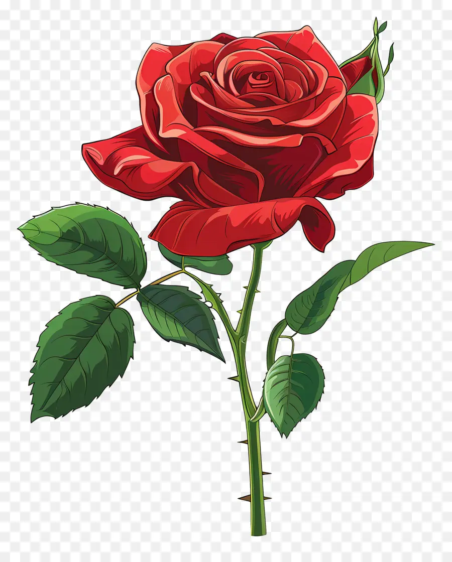 Rose Rouge，Fleur PNG