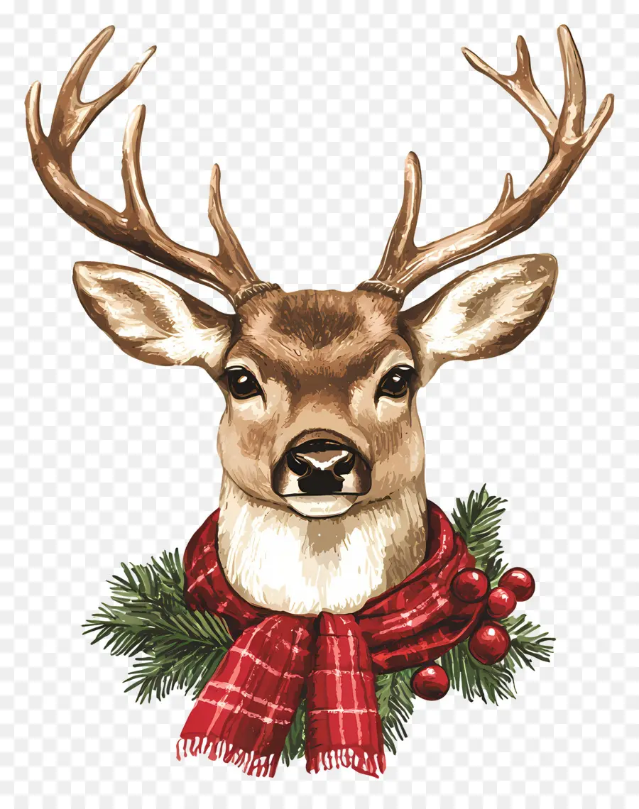 Cerf De Noël，Cerf Réaliste PNG