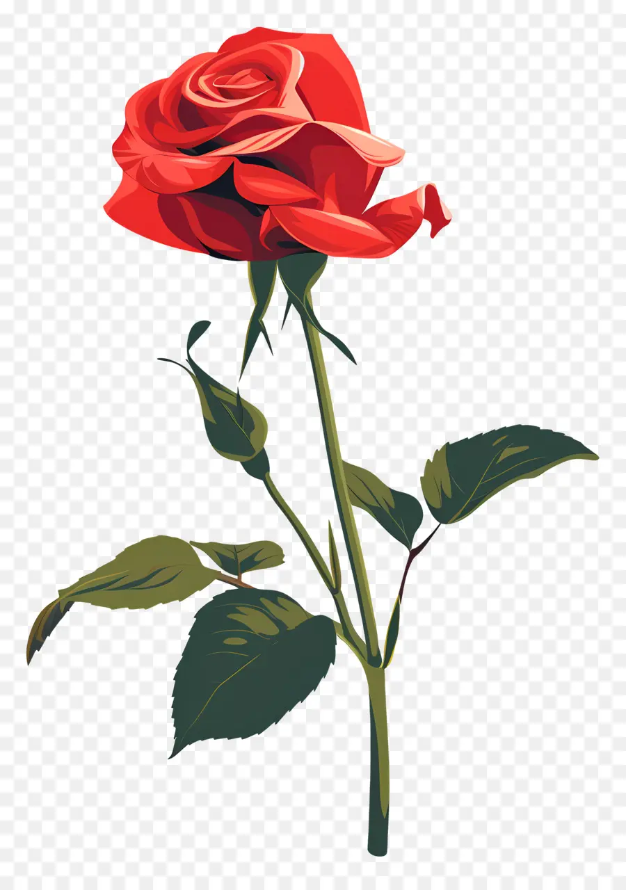 Rose Rouge，Tige PNG