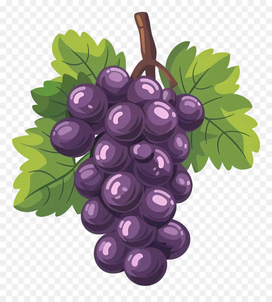 Raisins，Raisins Violets PNG