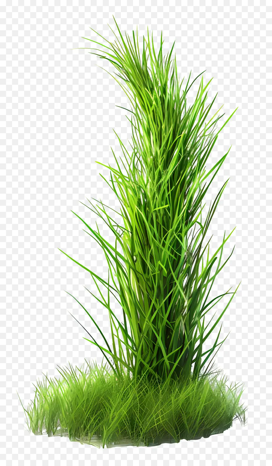 Plante D'herbe，Herbe Vert Vif PNG