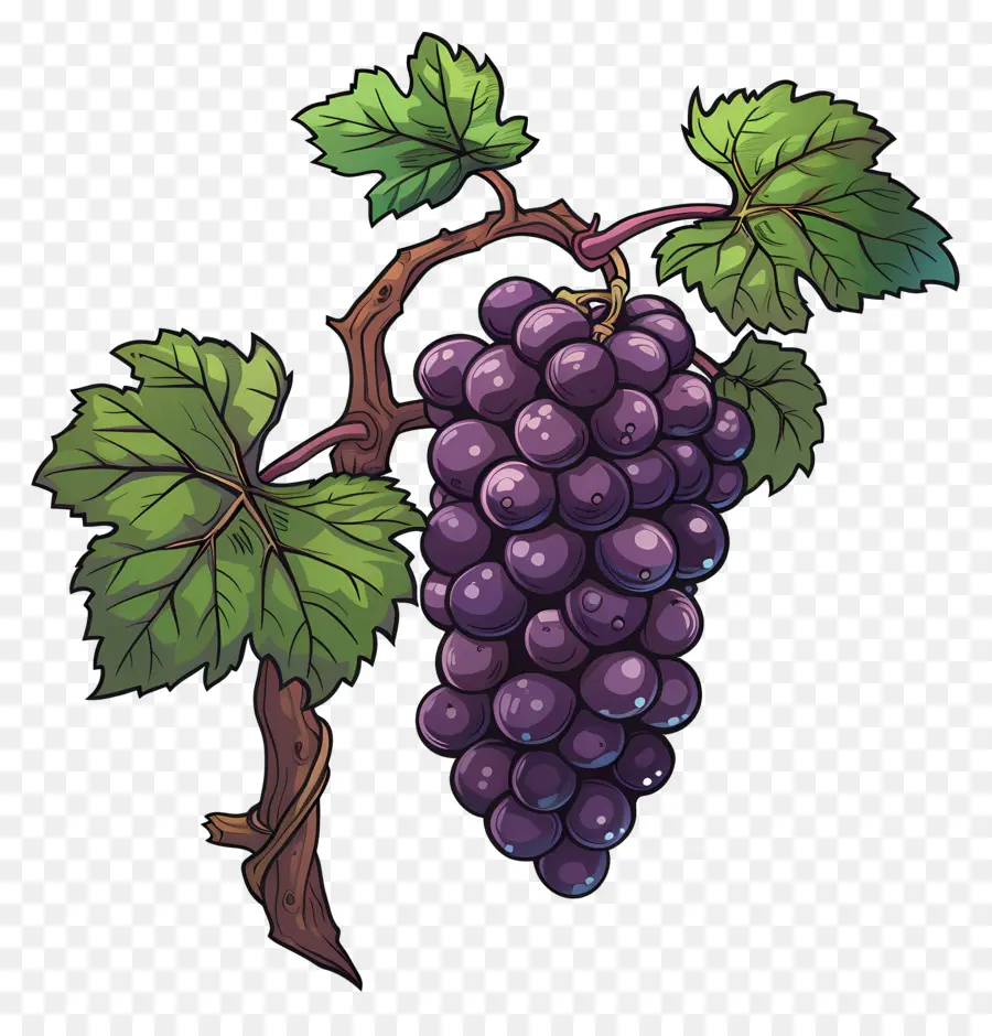 Raisins，Raisins Violets PNG