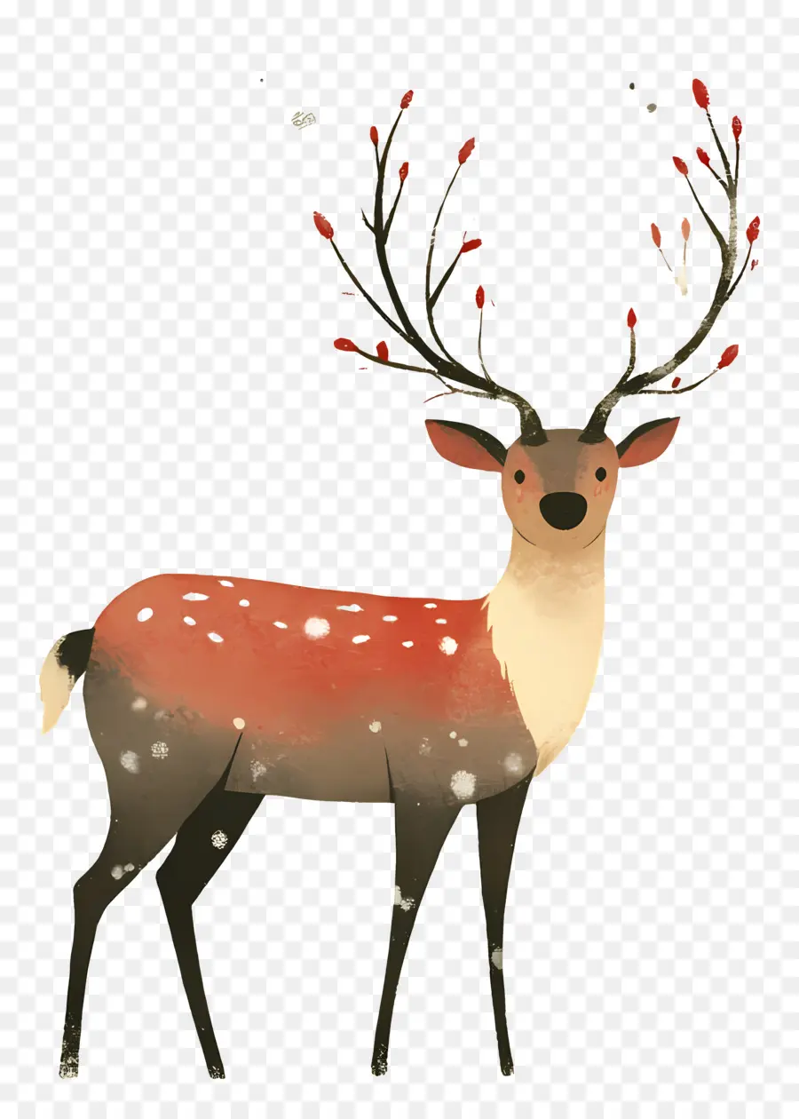 Cerf De Noël，Cerf De Dessin Animé PNG