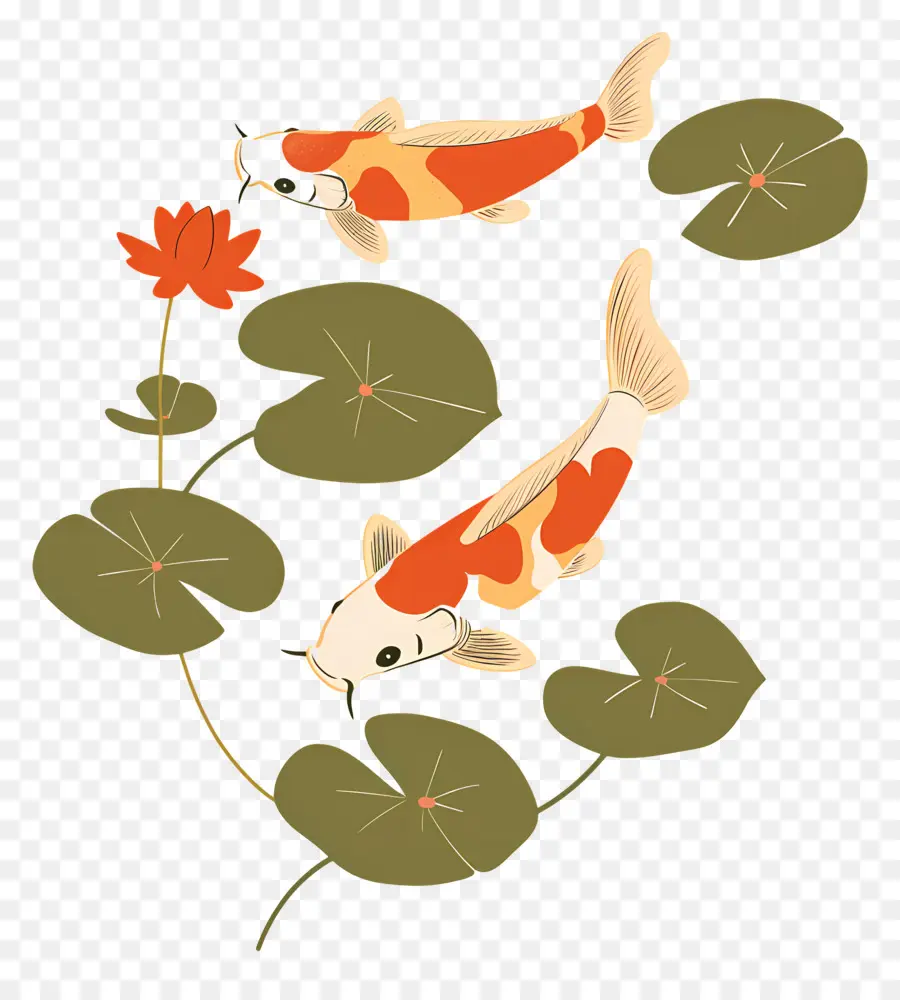 Poisson Koï，Quatre Poissons Koi Avec Des Lys PNG