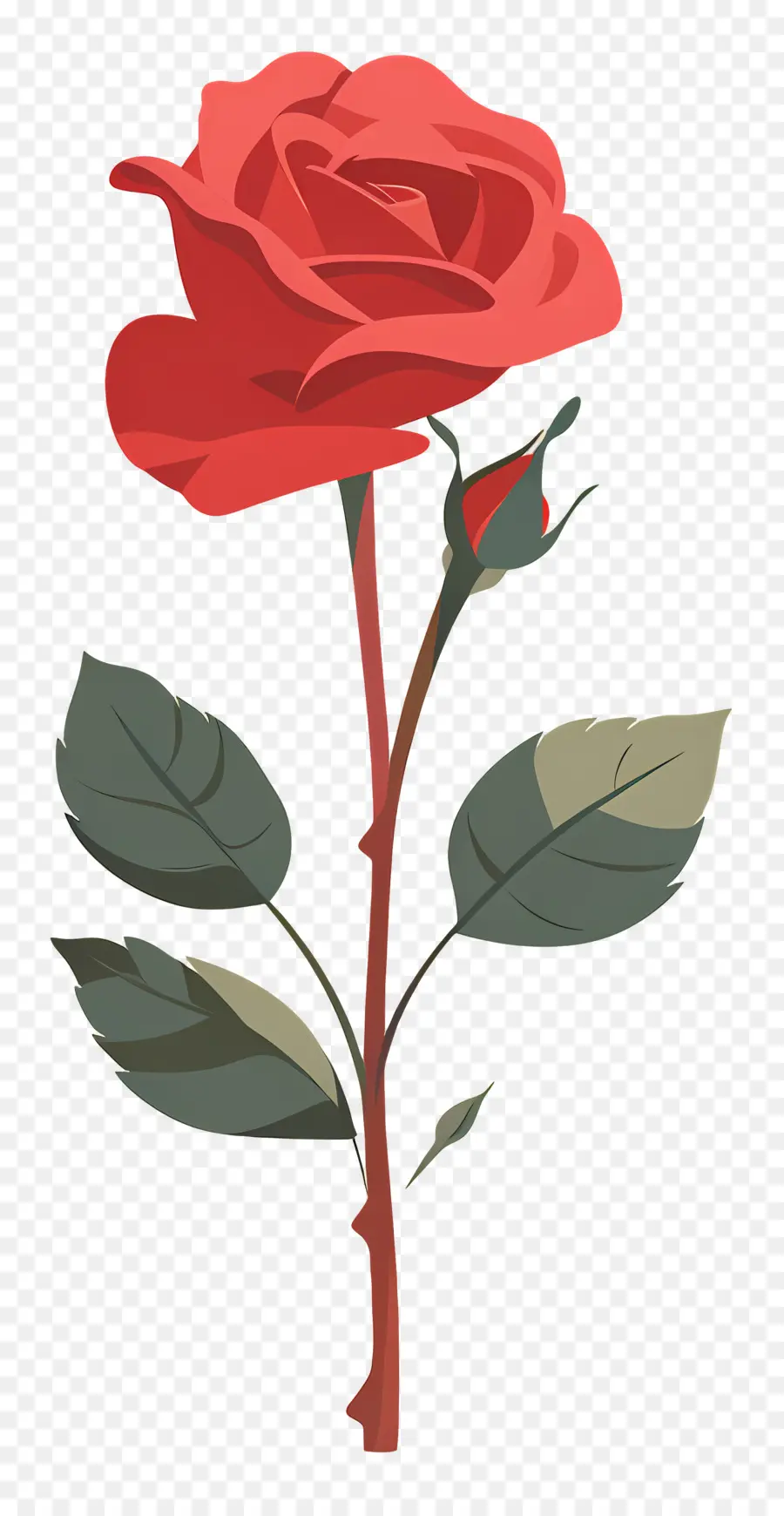 Rose Rouge，Romance PNG