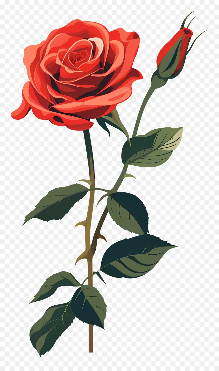 Rose Rouge，Romance PNG