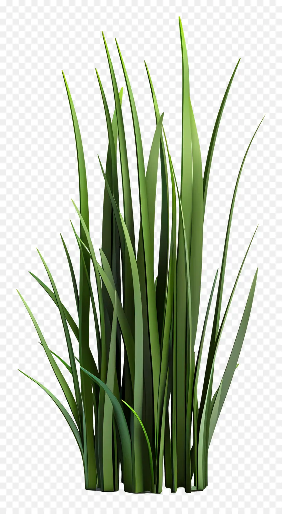 Plante D'herbe，Grande Plante Verte PNG