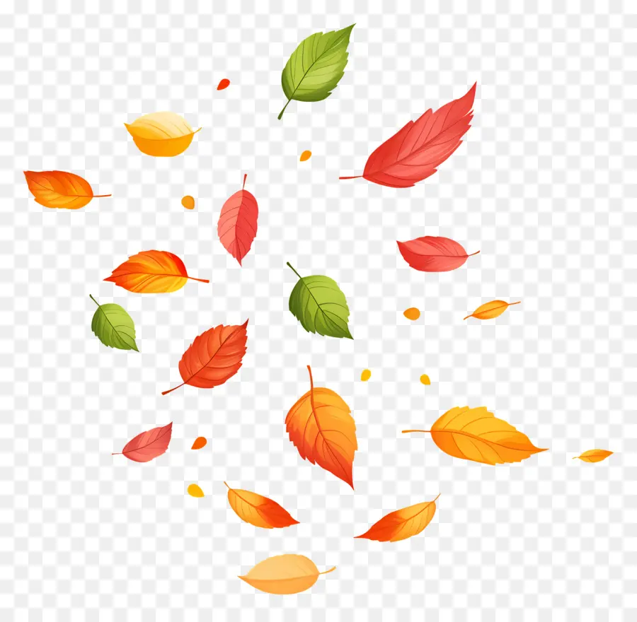 Feuilles D'automne，Feuilles PNG