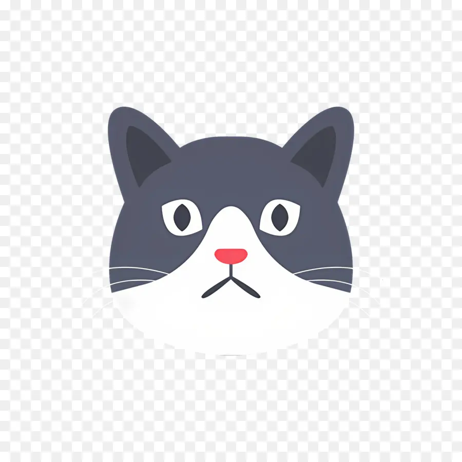 Chat Emoji，Chat Sérieux PNG