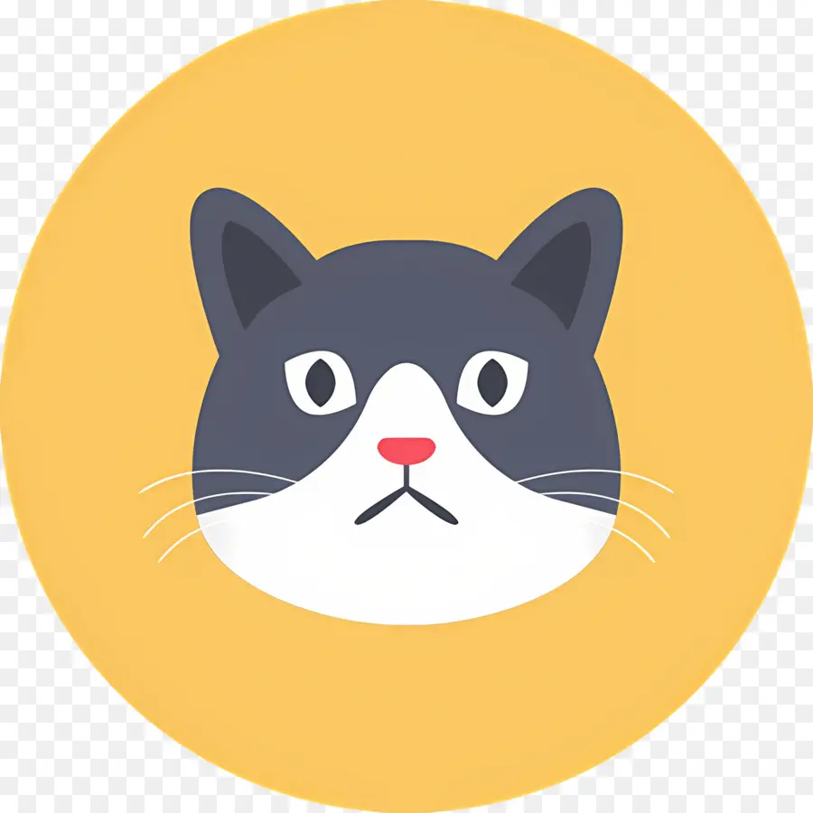 Chat Emoji，Visage De Chat PNG