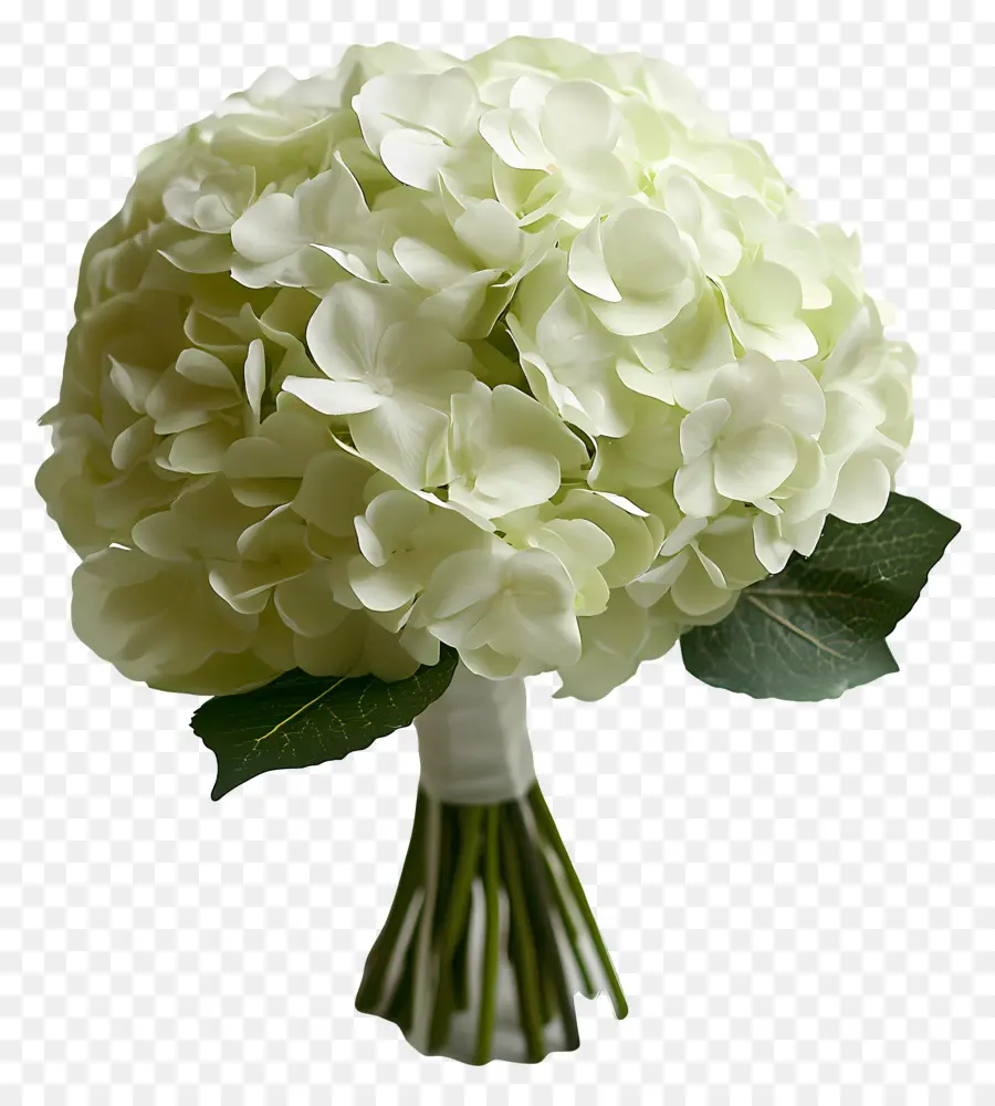 Bouquet De Mariée，Bouquet D'hortensias Verts Et Blancs PNG