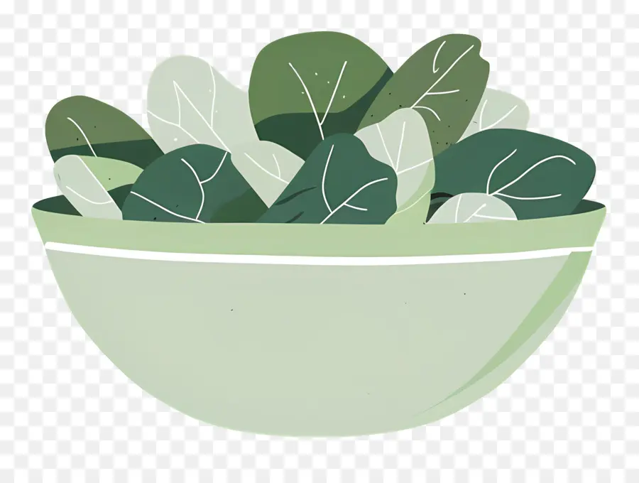 Salade Verte，Salade De Feuilles Vertes PNG