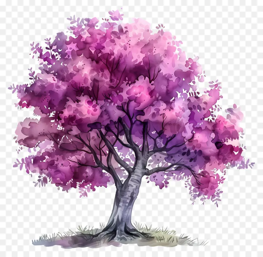 Arbre Aquarelle，Arbre Violet PNG