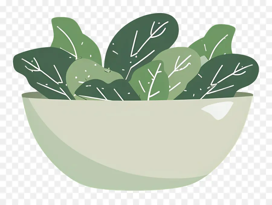 Salade Verte，Feuilles Vertes PNG