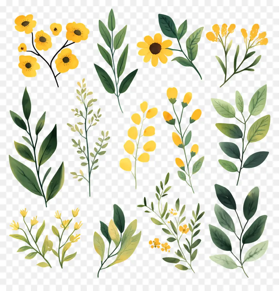 Herbes Et épices，Fleurs Et Feuilles PNG