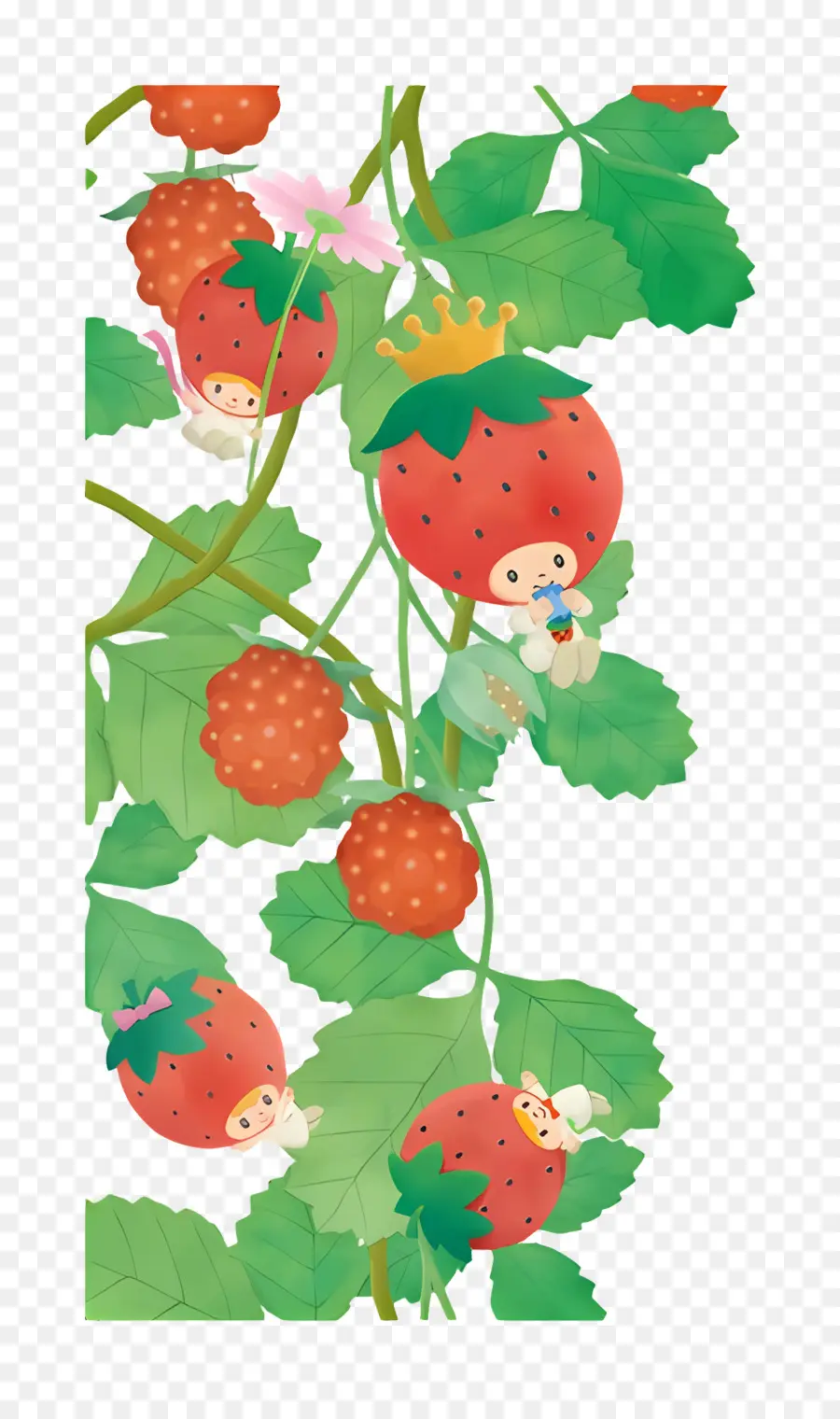 Roi Des Fraises，Personnages De Fraises Sur Vigne PNG