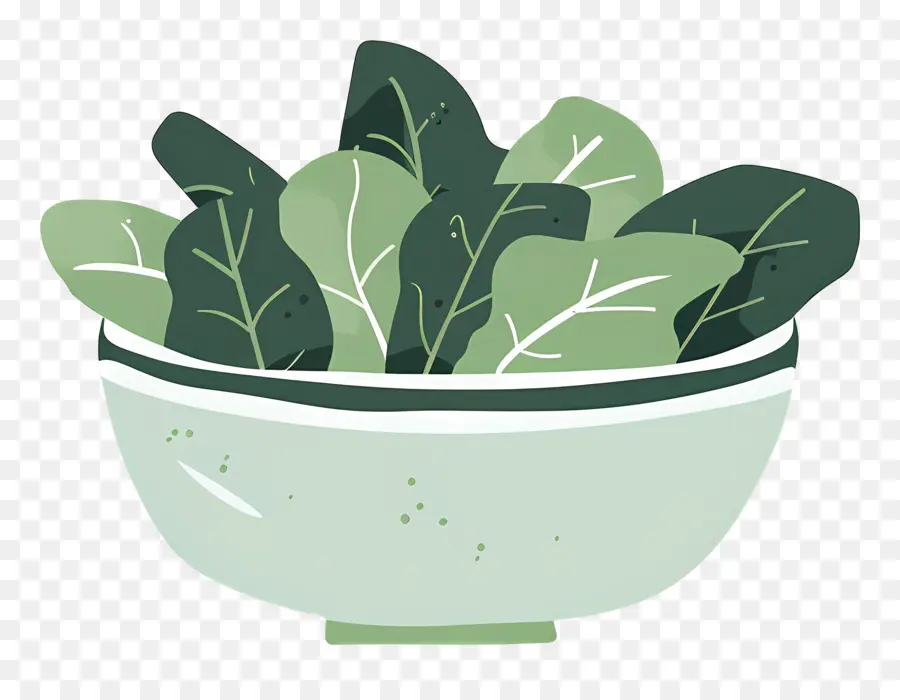 Salade Verte，Feuilles Vertes PNG