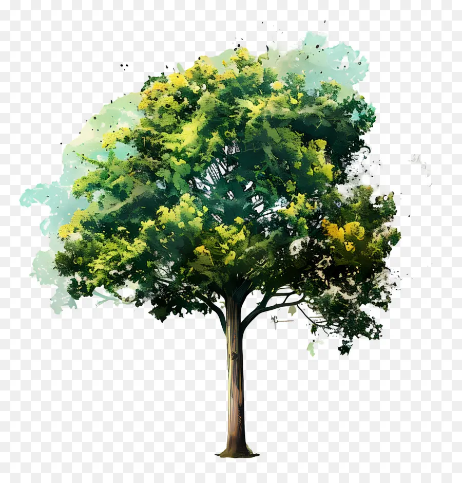 Arbre Aquarelle，Arbre Vert PNG