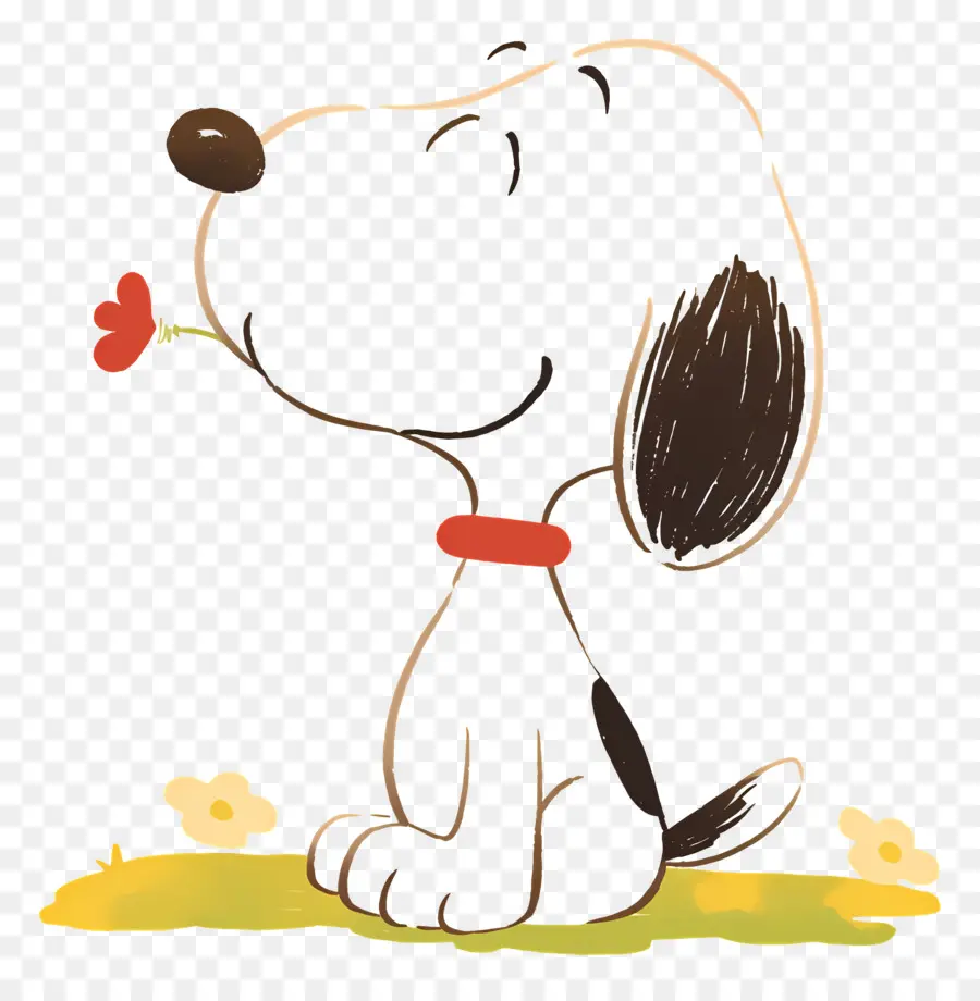 Snoopy，Chien De Dessin Animé Avec Fleur PNG